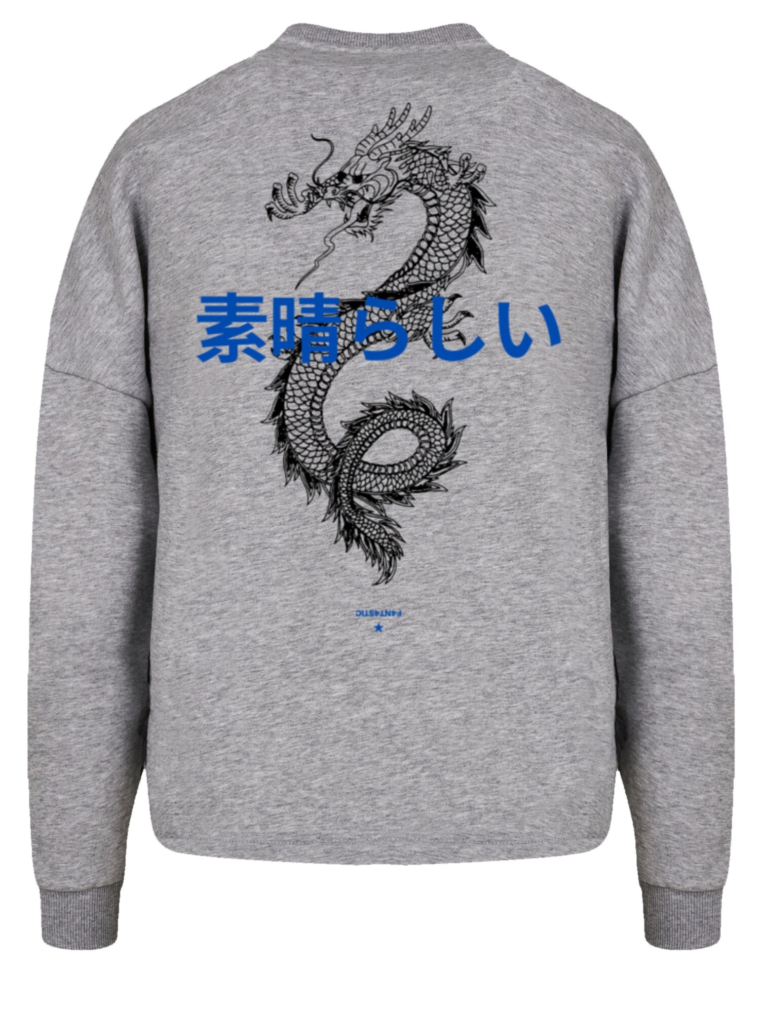 Thumbnail - F4NT4STIC Sweatshirt Dragon