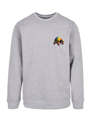 F4NT4STIC Sweatshirt ‘Rainbow Turtle’ Grijs / Gemengde kleuren