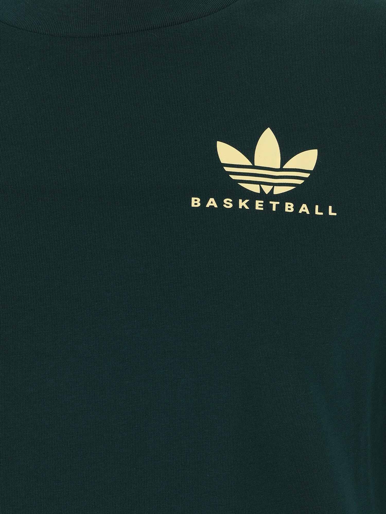 ADIDAS ORIGINALS Tričko 'INTERCON' pastelovo žltá / jedľová (obrázok 3)
