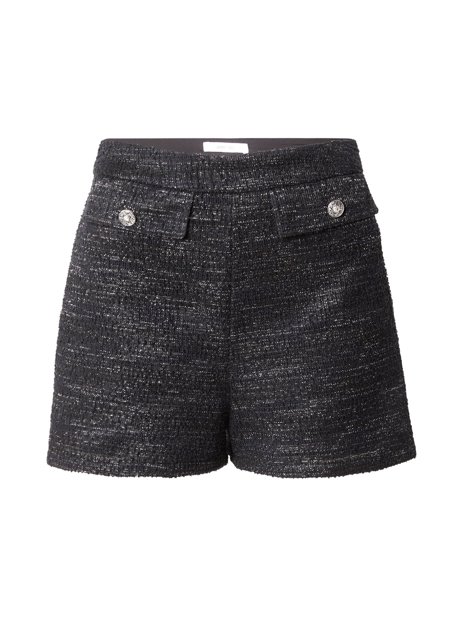 ABOUT YOU Pantaloni Cim  negru / argintiu