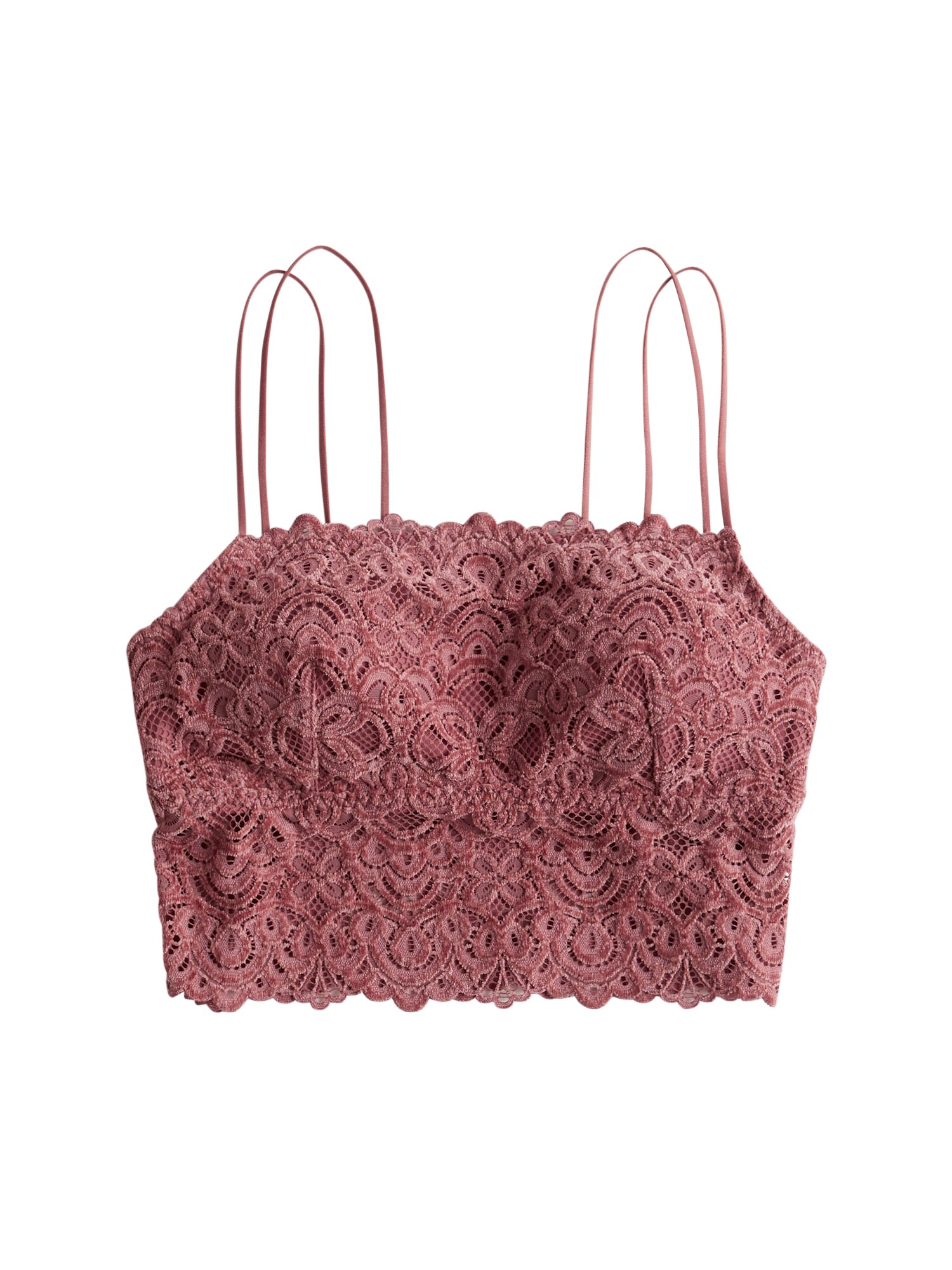HOLLISTER Liemenėlė 'CHENILLE'  rožių spalva
