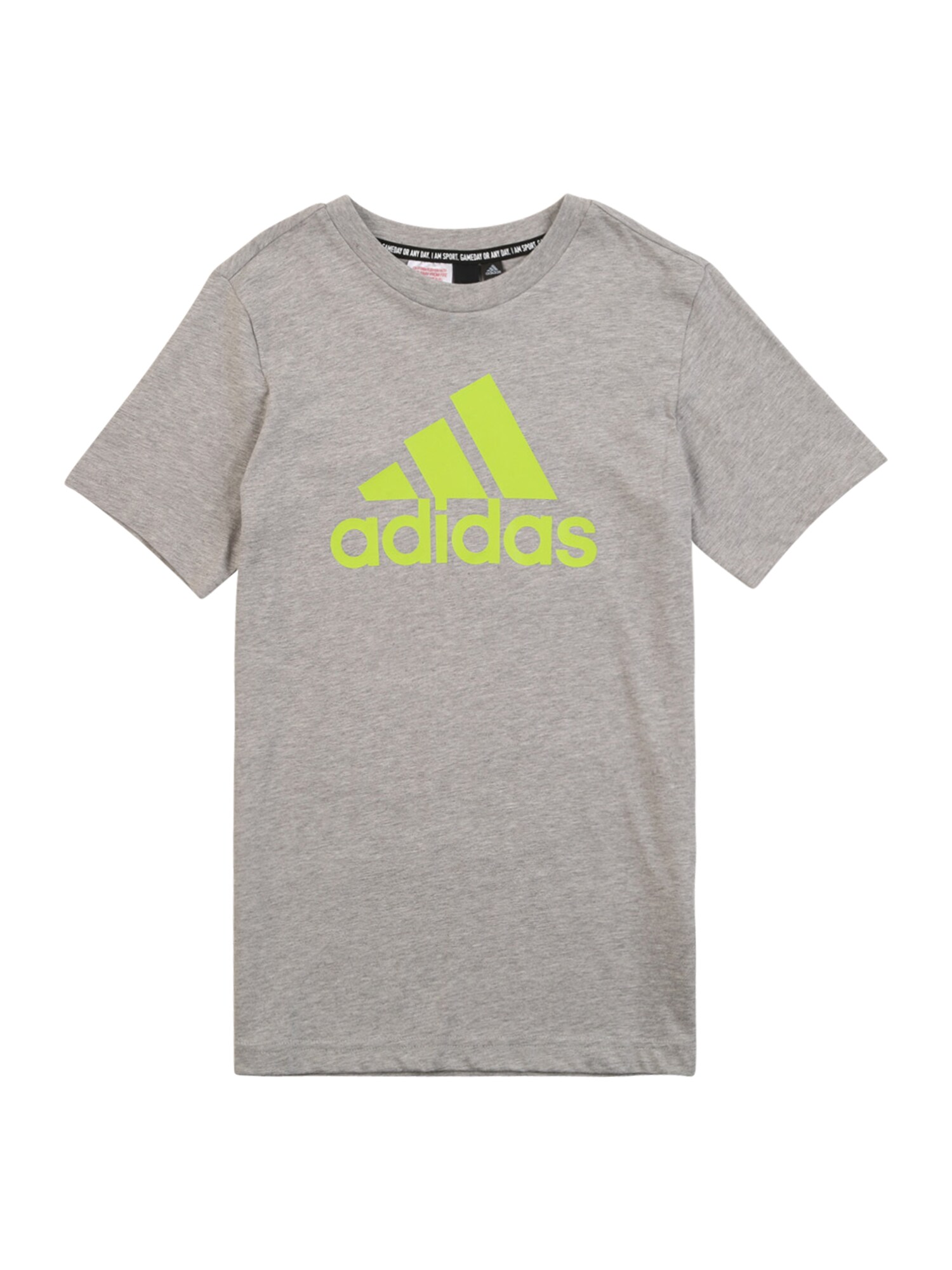 ADIDAS PERFORMANCE Sportiniai marškinėliai  pilka