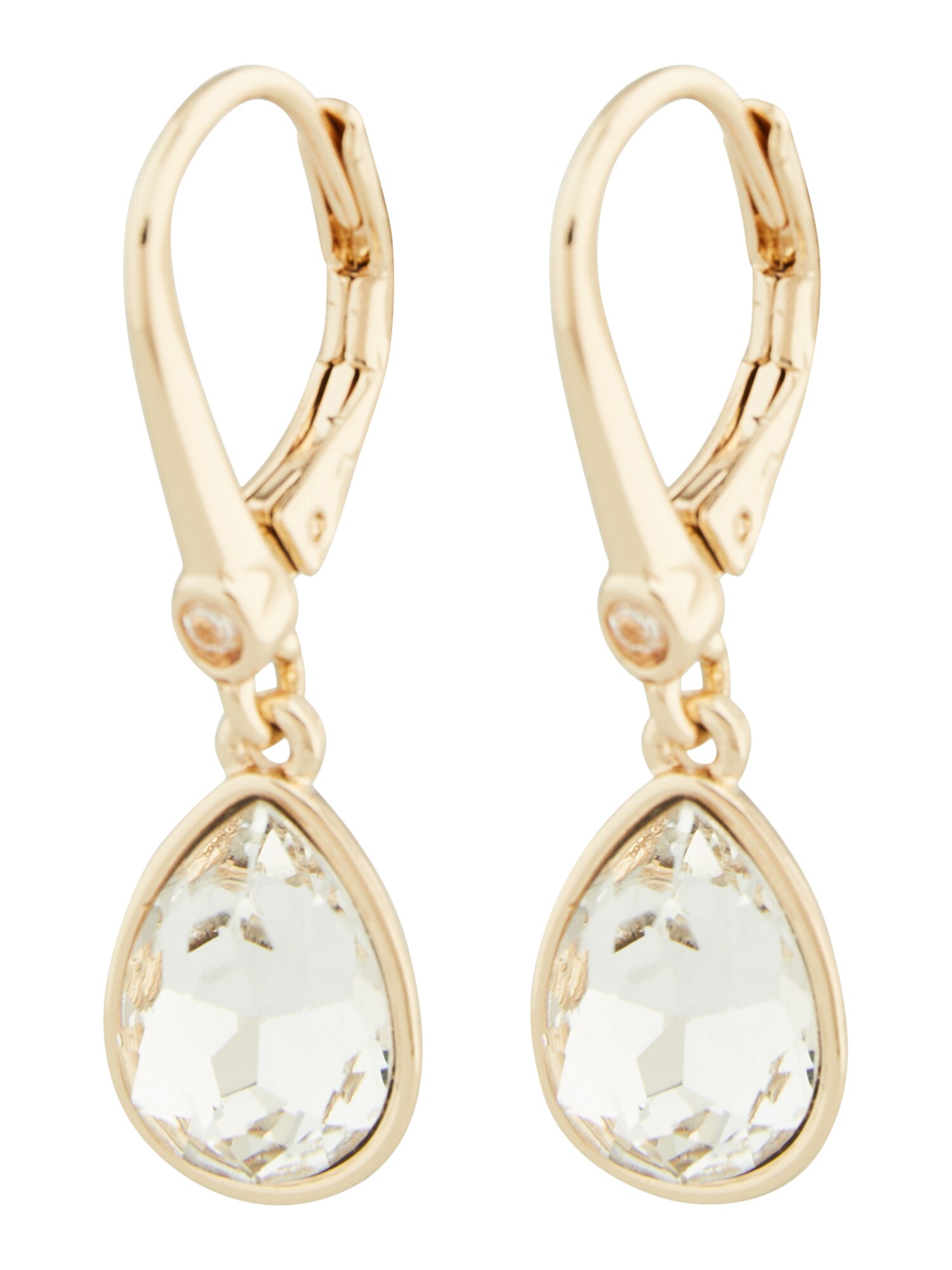 DKNY Cercei  auriu / transparent