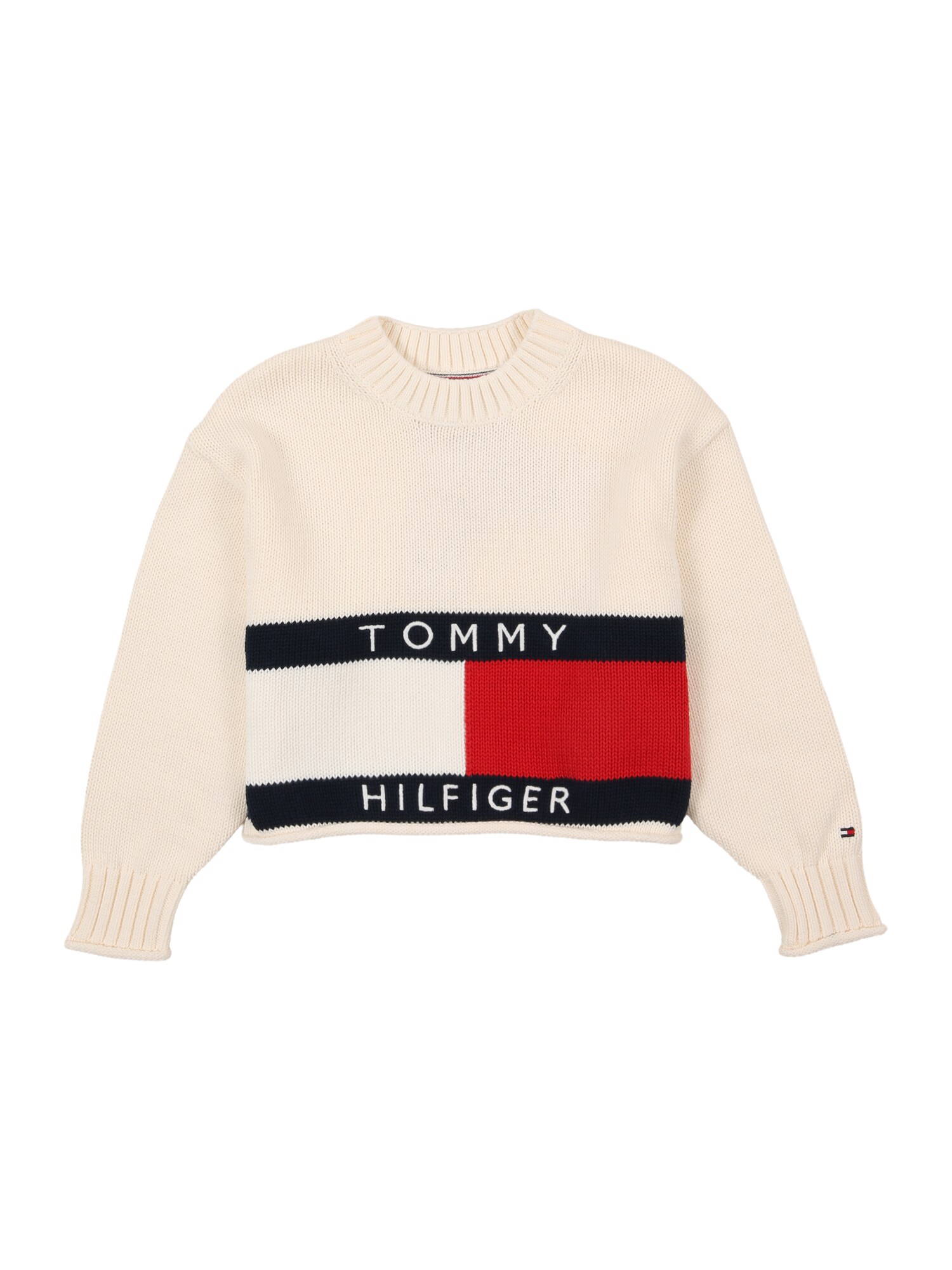 TOMMY HILFIGER Pulover HERITAGE  albastru marin / roșu / alb