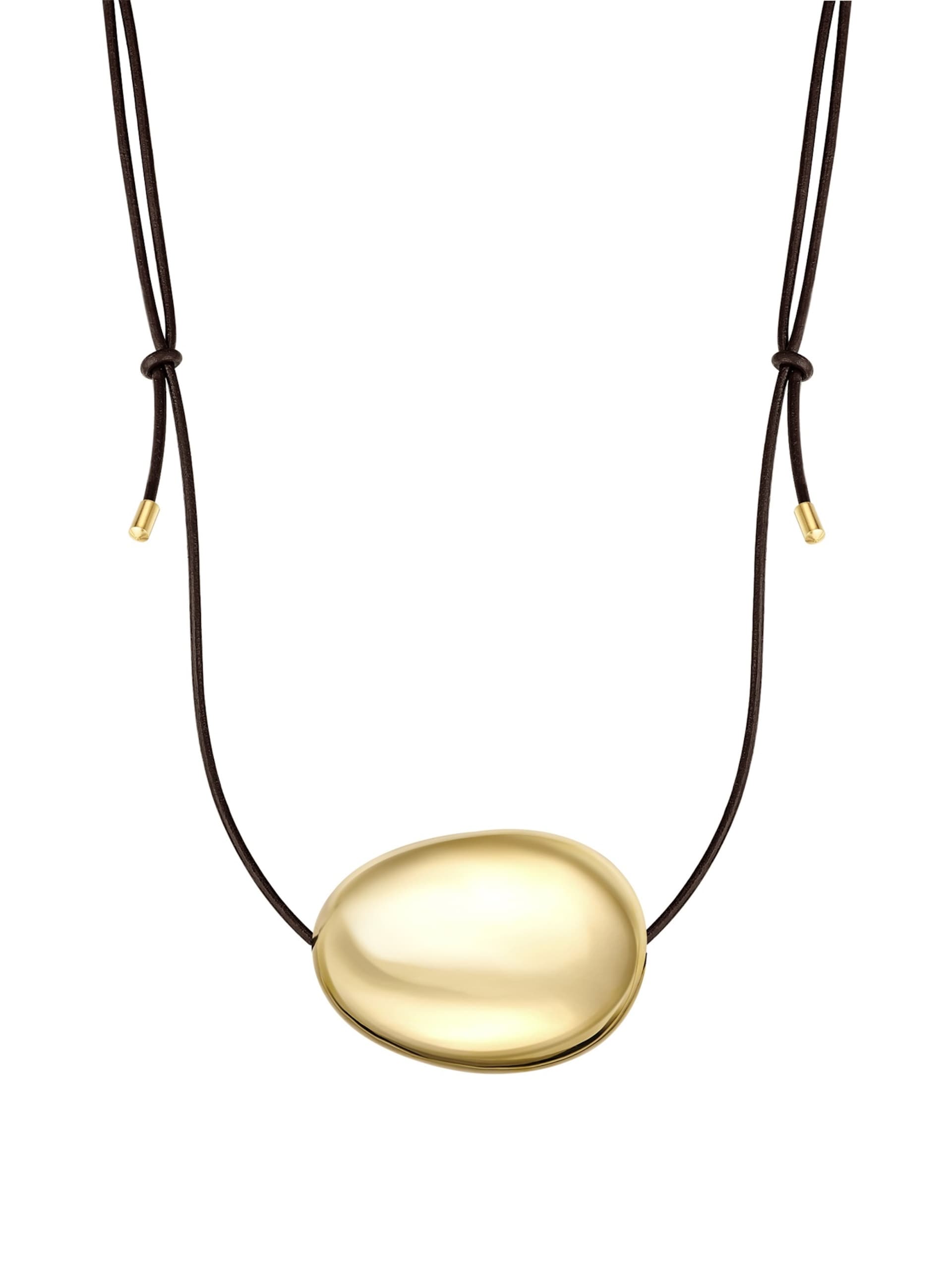 Yokoamii Halsband dam