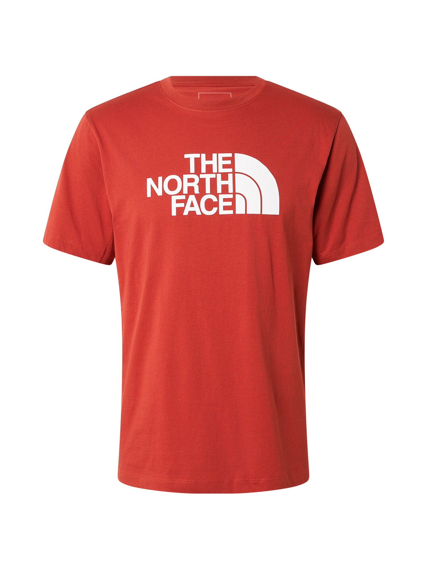 THE NORTH FACE Tricou EVOLUTION HALF DOME  maro ruginiu / alb