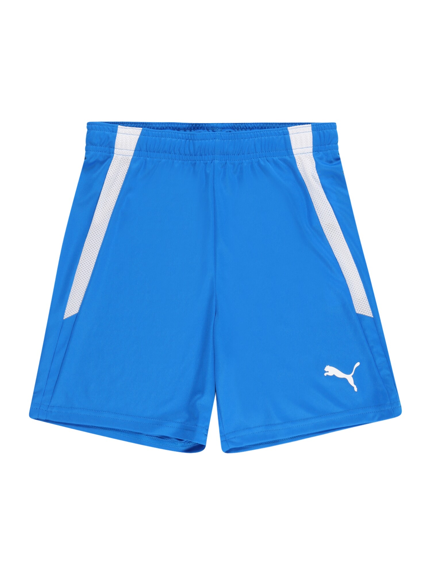 PUMA Pantaloni sport TeamLiga  azur / gri deschis / alb