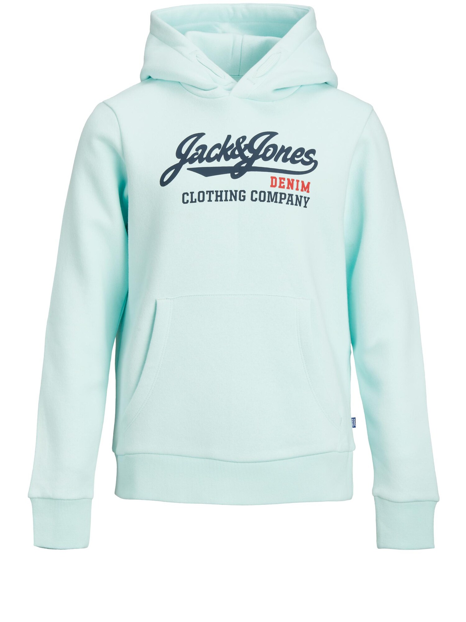 Jack & Jones Junior Megztinis be užsegimo 'JJELOGO SWEAT HOOD 2 COL 20/21 NOOS JR'  vandens spalva