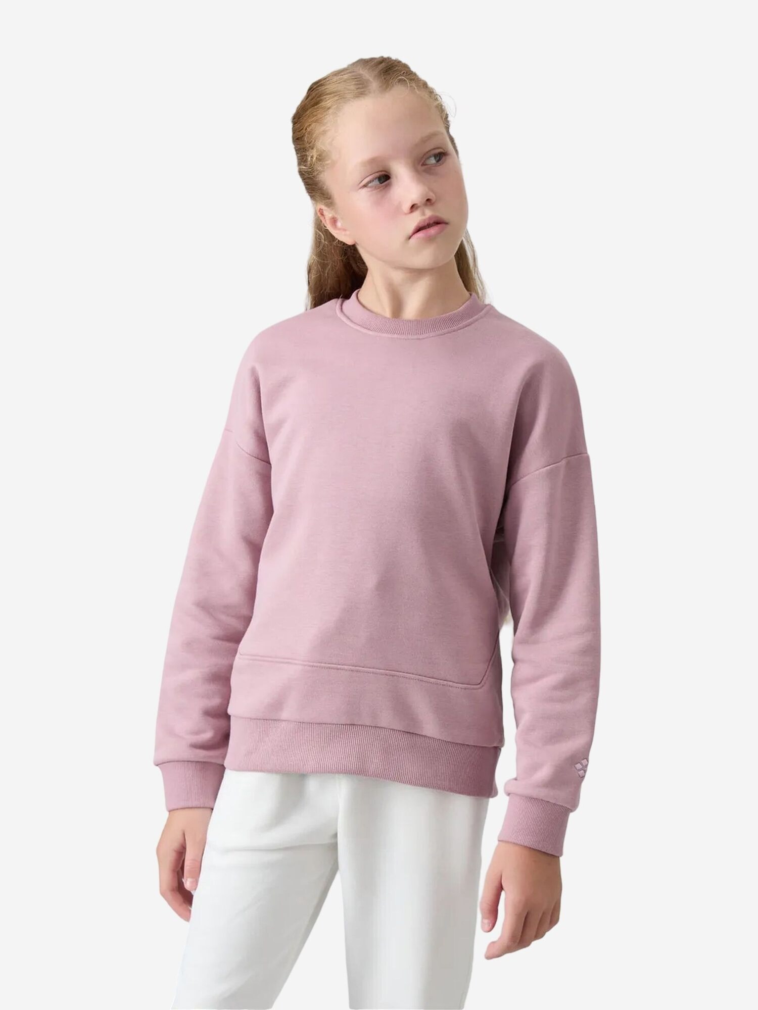 Tommy Life Sweater majica 'TOMMY Sweatshirt aus Baumwollmischung' sivkasto ljubičasta (mauve)