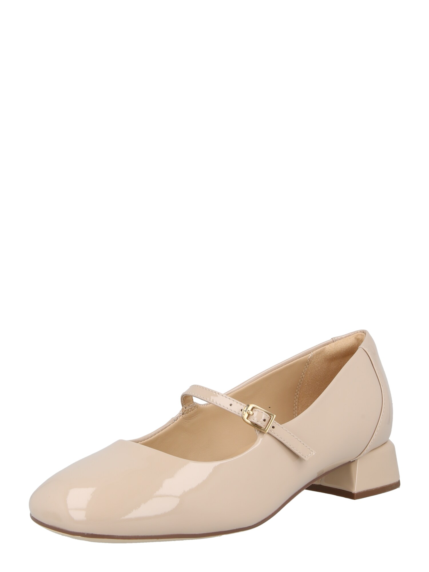 CLARKS Zapatos con plataforma 'Daiss31'  piel