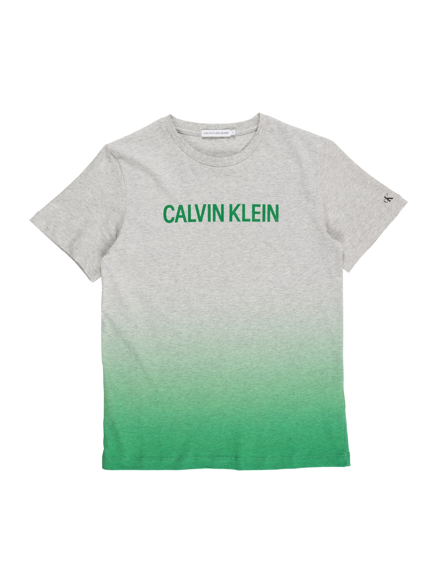 Calvin Klein Jeans Póló  szürke melír / zöld