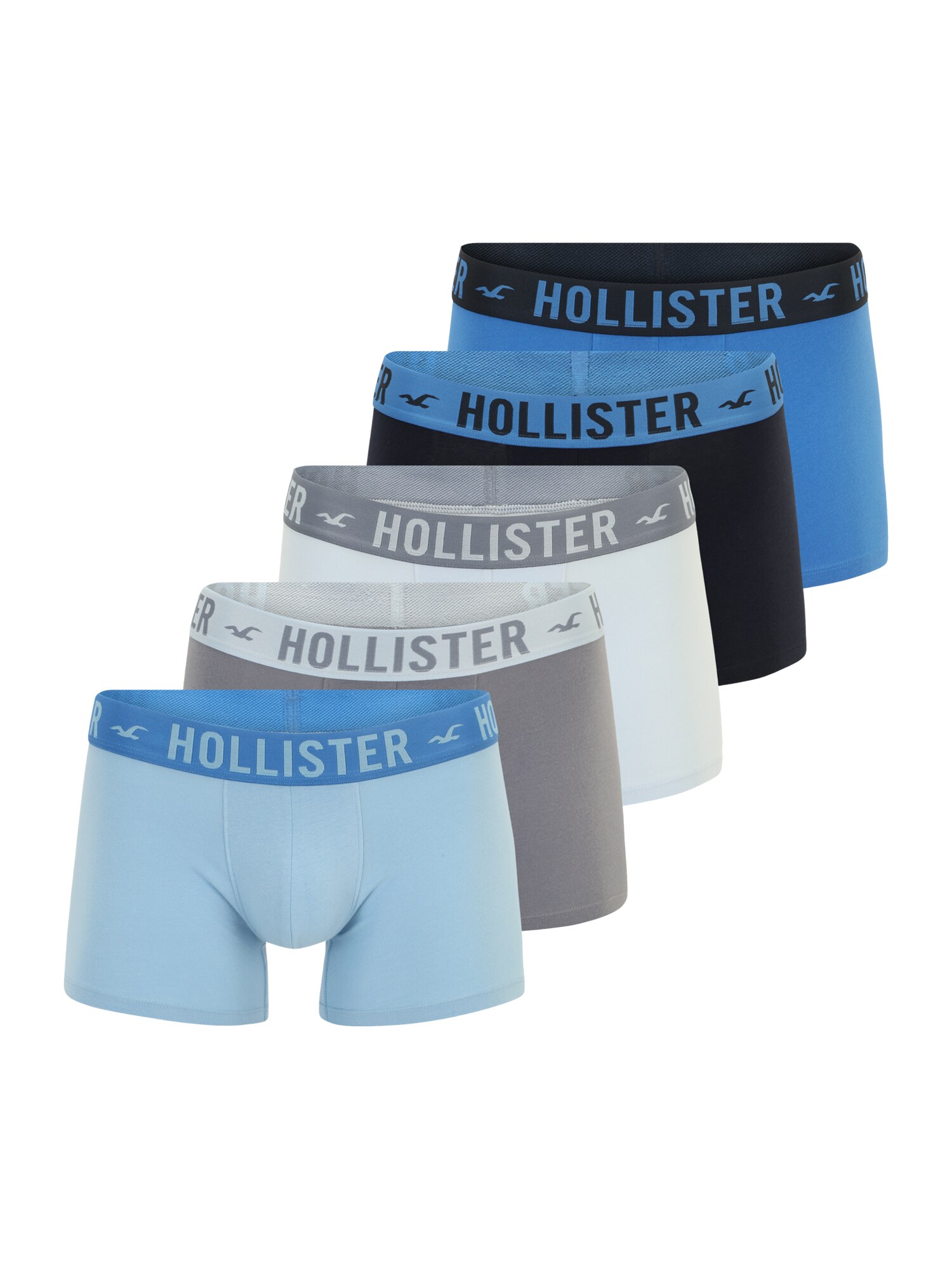 HOLLISTER Boxer trumpikės kobalto mėlyna / azuro spalva / šviesiai mėlyna / pilka