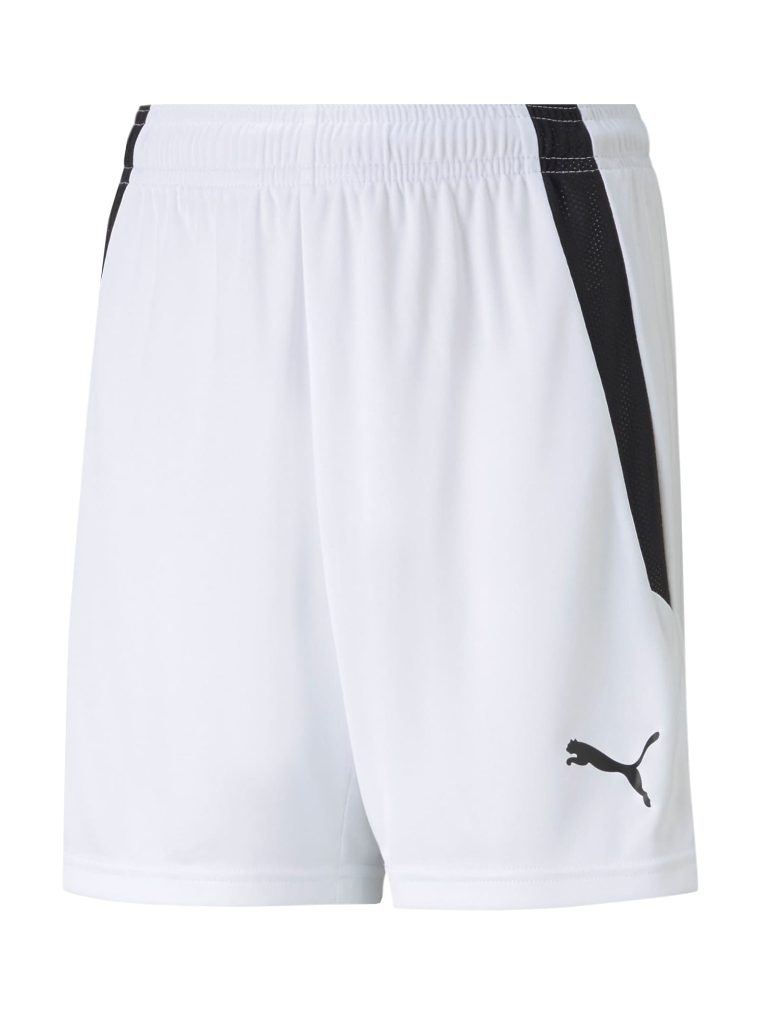 PUMA Pantaloni sport TeamLiga  negru / alb
