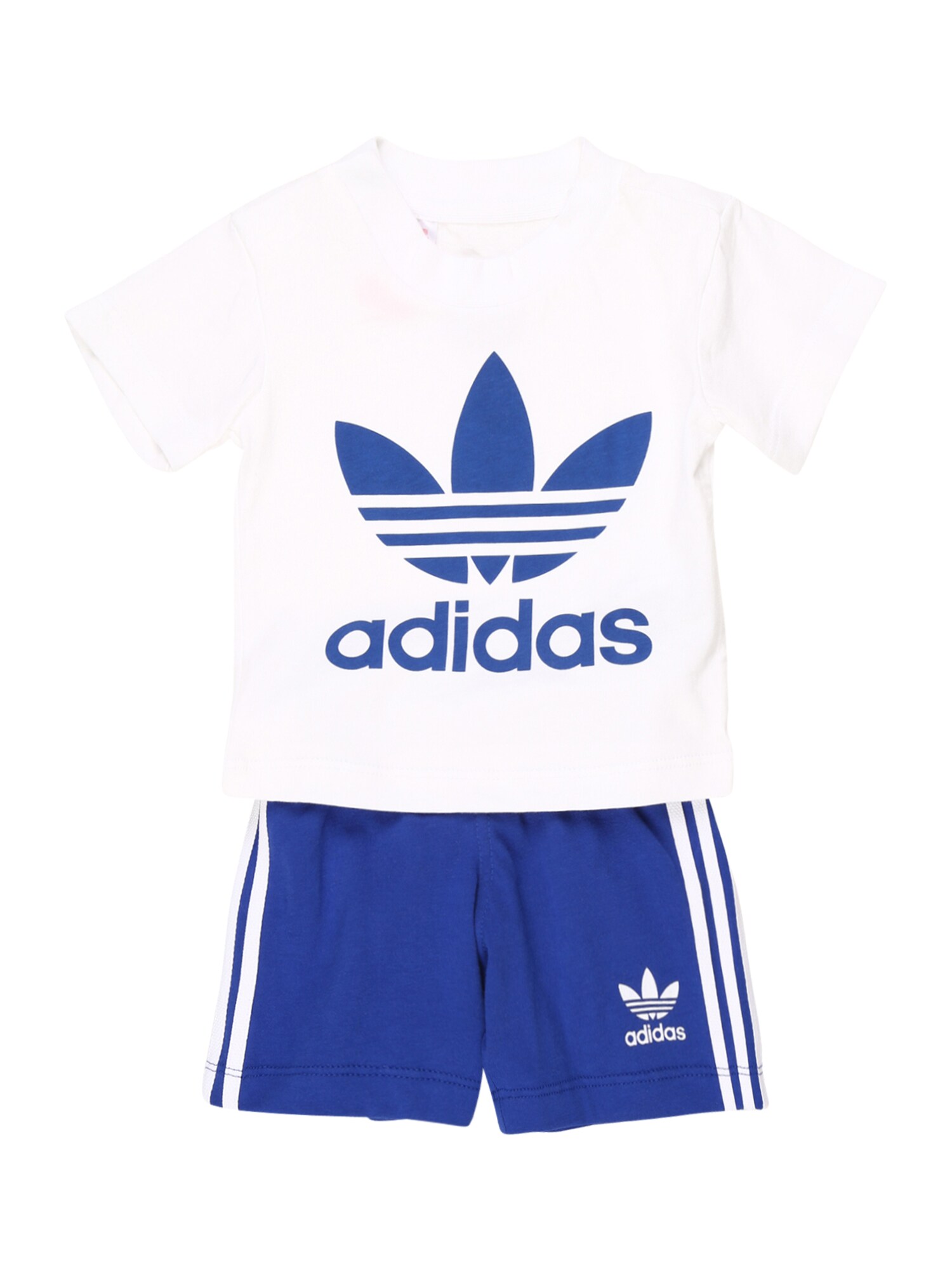 ADIDAS ORIGINALS Rinkinys 'Trefoil'  balta / sodri mėlyna („karališka“)