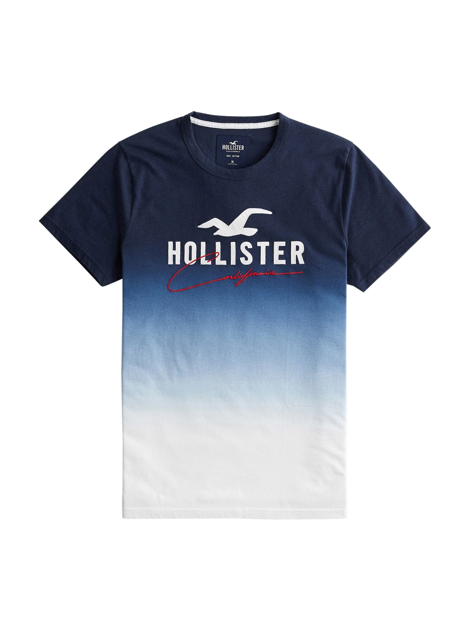 HOLLISTER Marškinėliai  tamsiai mėlyna / šviesiai mėlyna / balta / tamsiai raudona