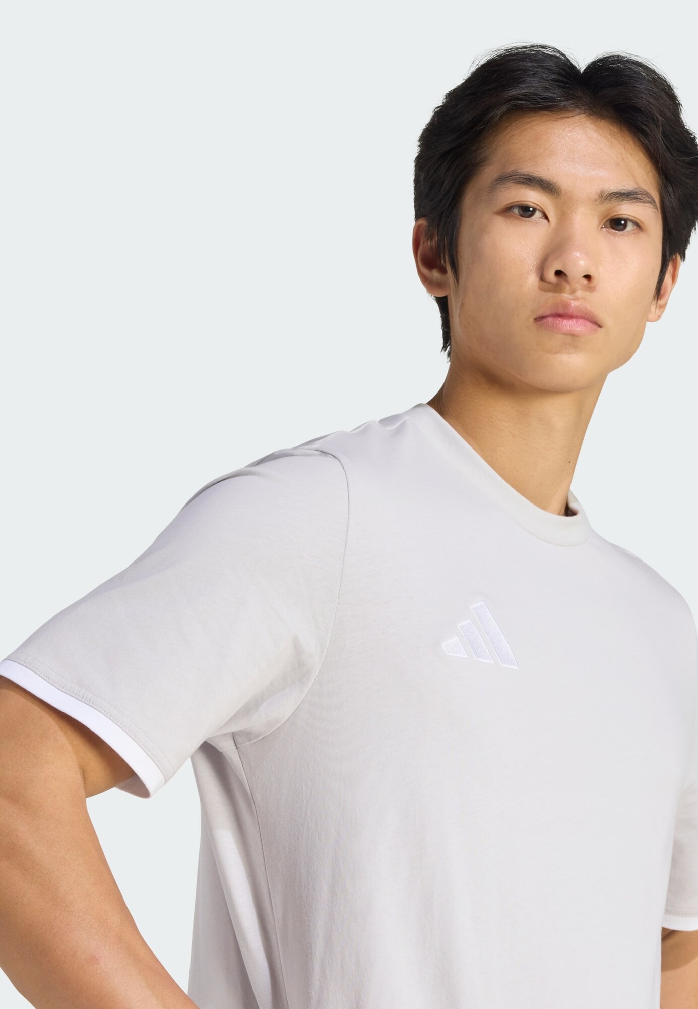ADIDAS PERFORMANCE Camiseta funcional 'Entrada26' gris claro / blanco – imagen 8