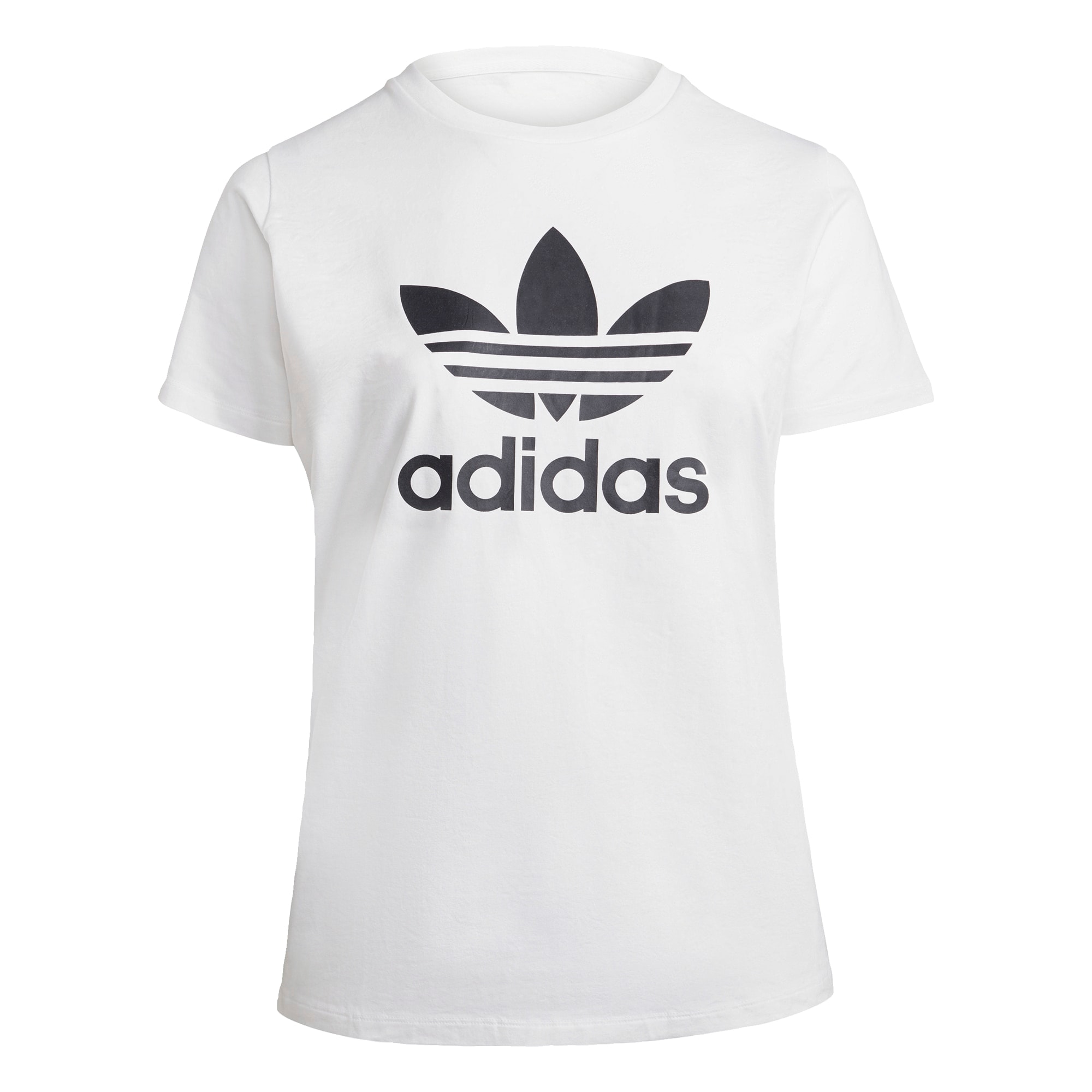 adidas Originals T-Shirt 'Adicolor'