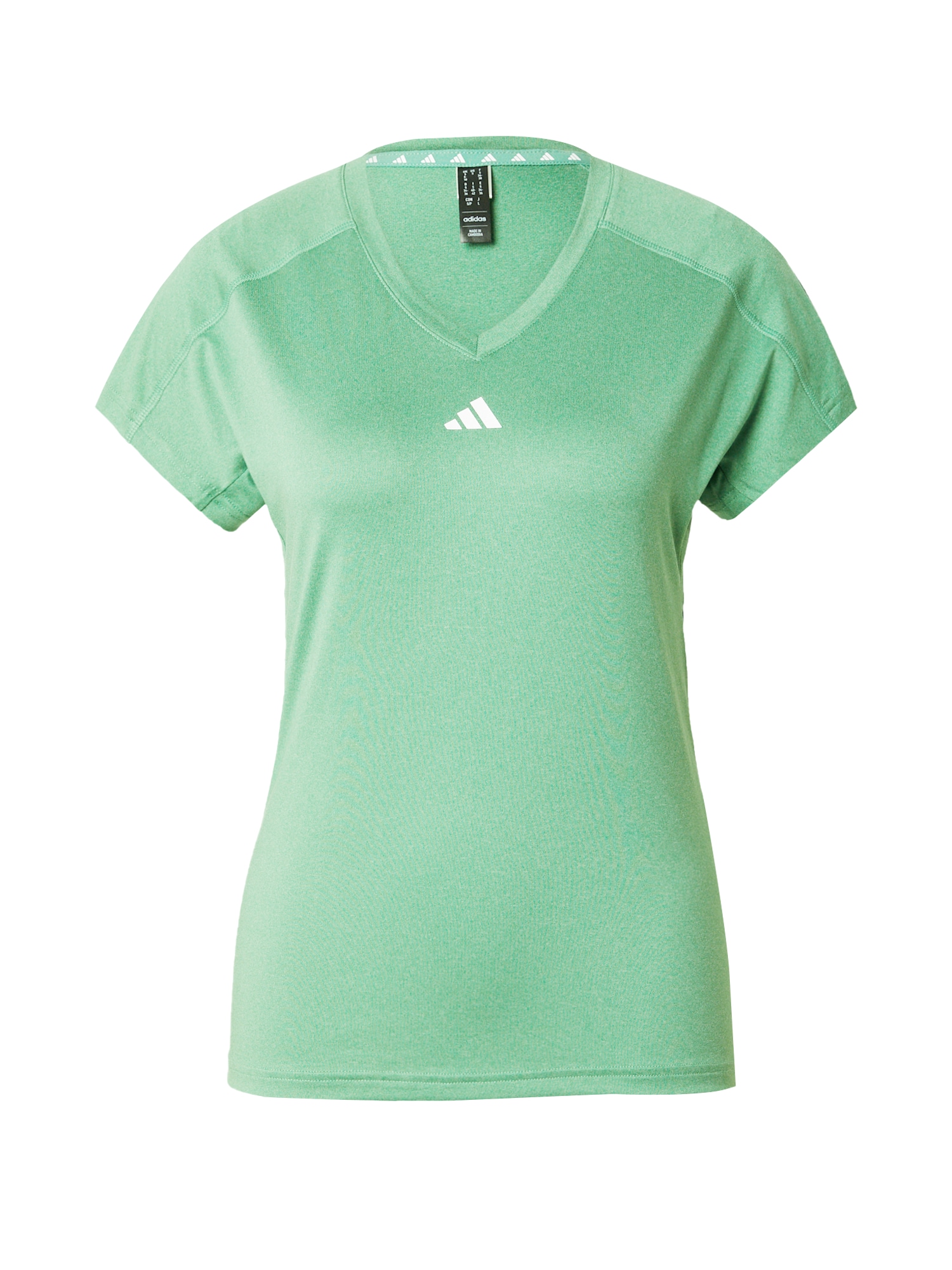ADIDAS PERFORMANCE Sportiniai marškinėliai 'Train Essentials' šviesiai žalia / balta