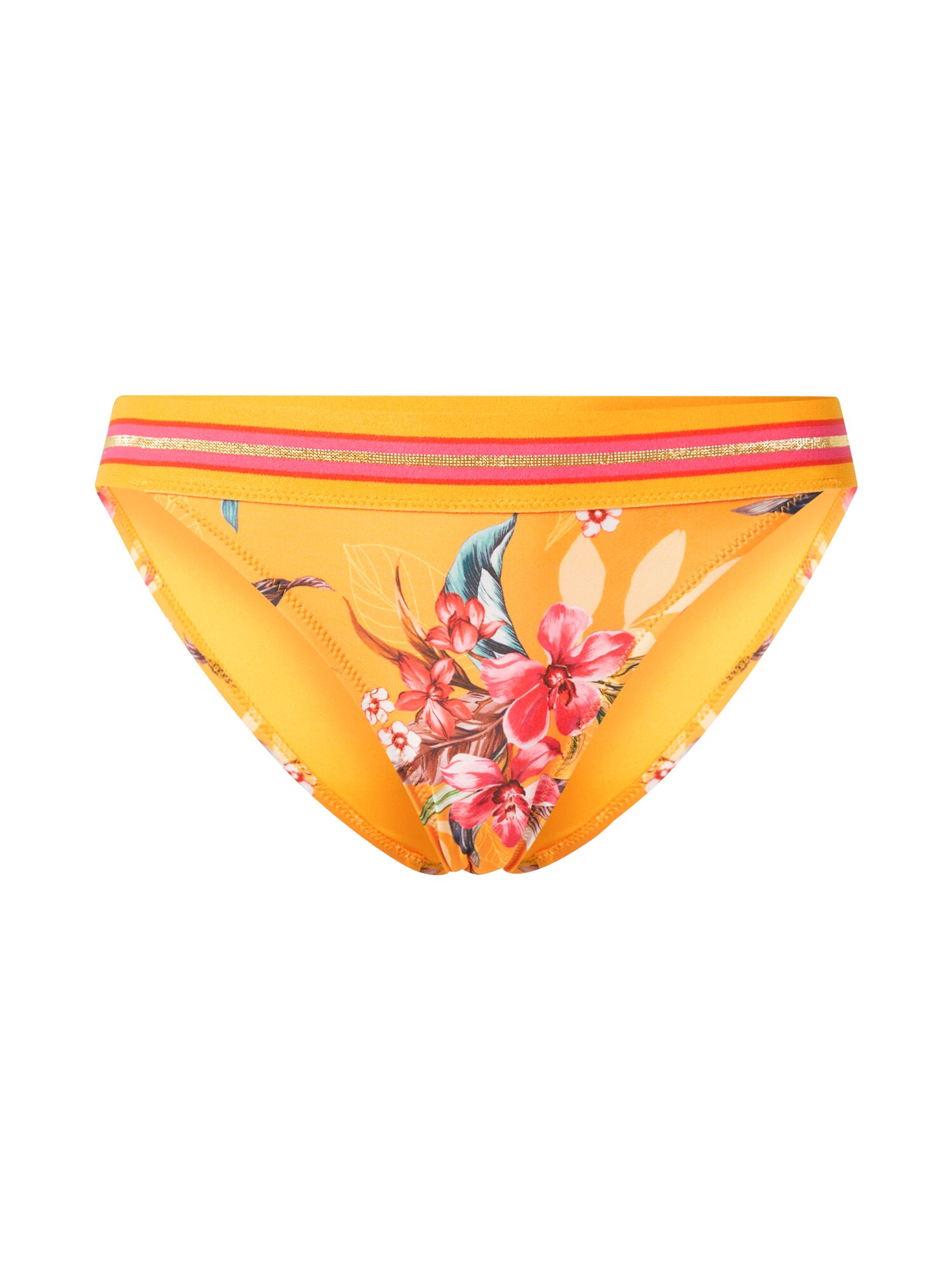 Hunkemöller Bikini hlačke 'Rio'  mešane barve / oranžna