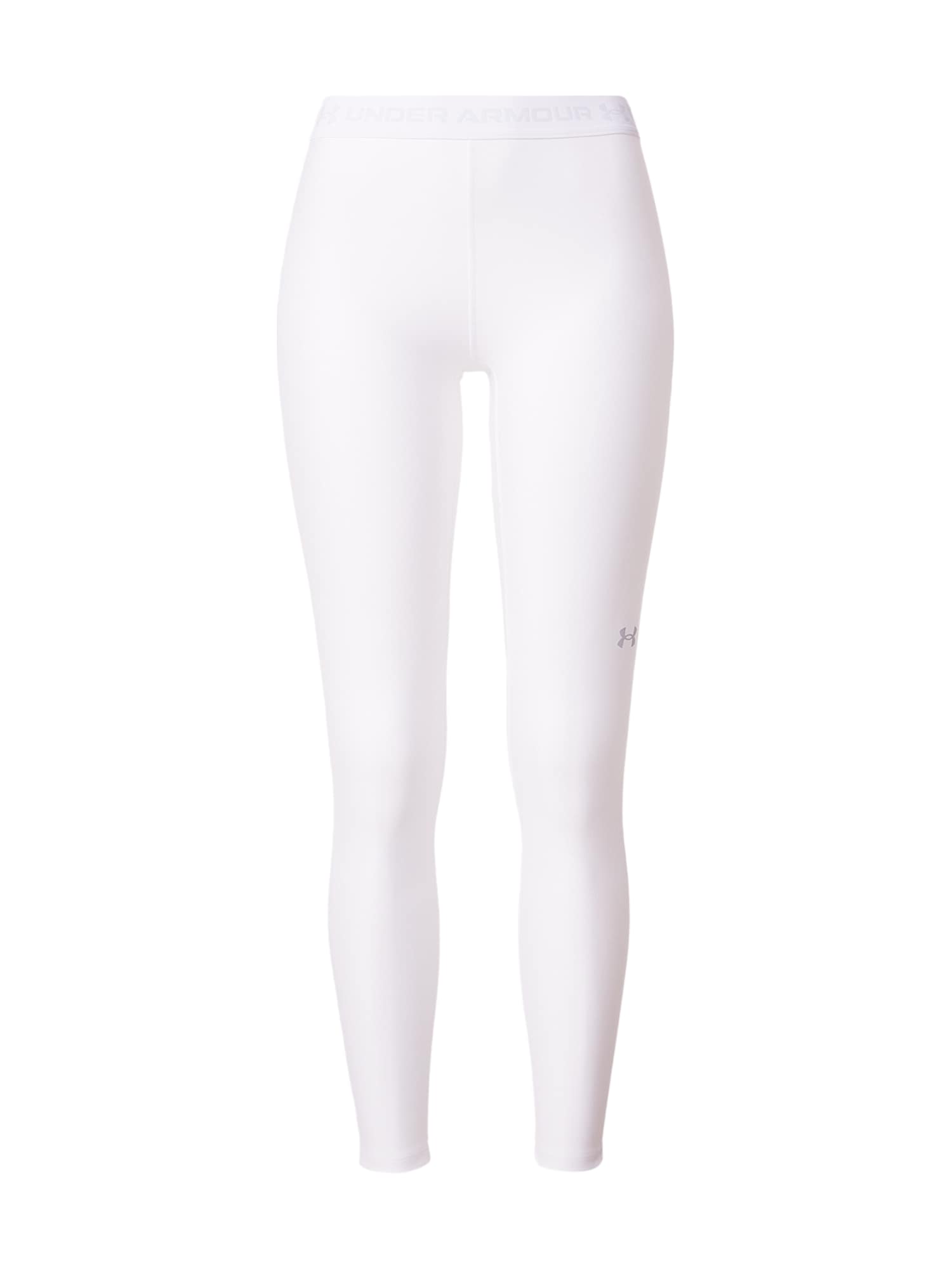 UNDER ARMOUR Pantaloni sport  gri argintiu
