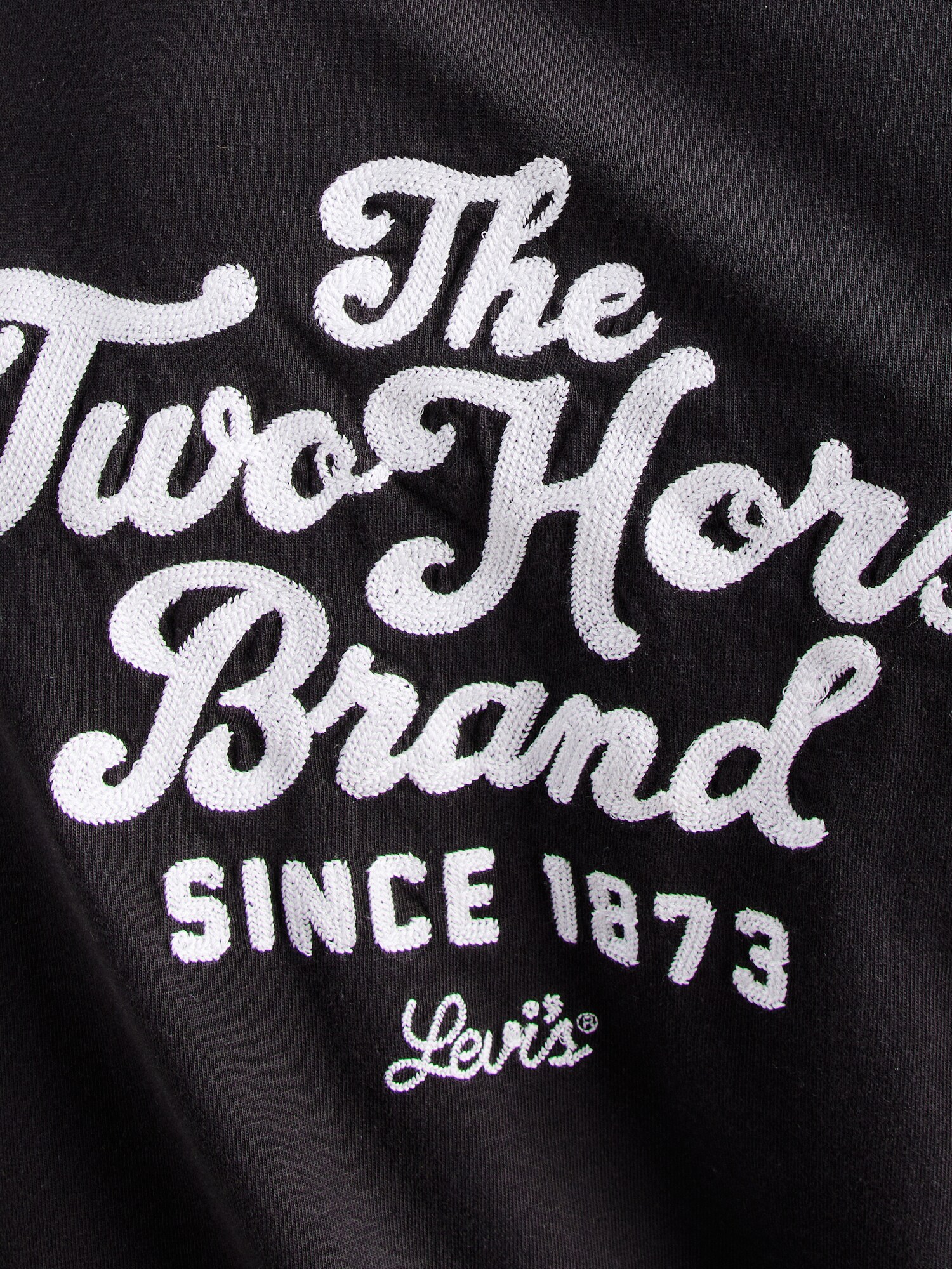 LEVI'S ® Tričko 'Classic Graphic Tee' čierna / biela (obrázok 5)