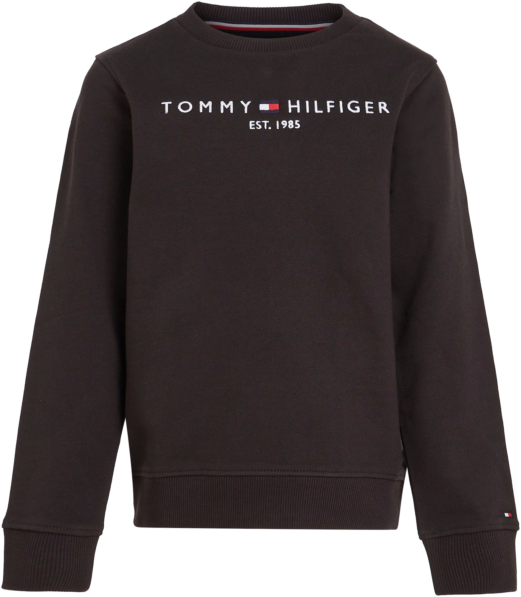 TOMMY HILFIGER Mikina 'Essential'  zmiešané farby / čierna