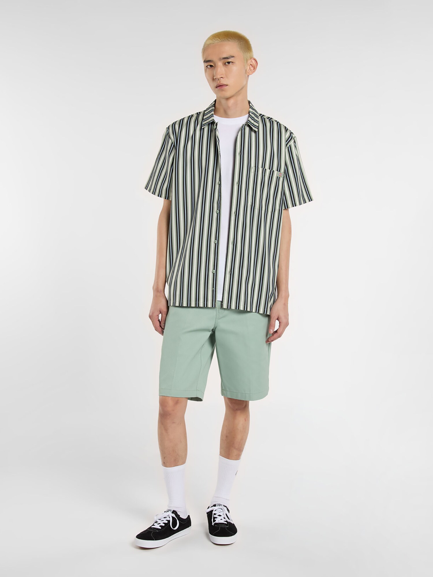 DICKIES Košeľa azúrová / svetlosivá / svetlozelená / čierna (obrázok 5)