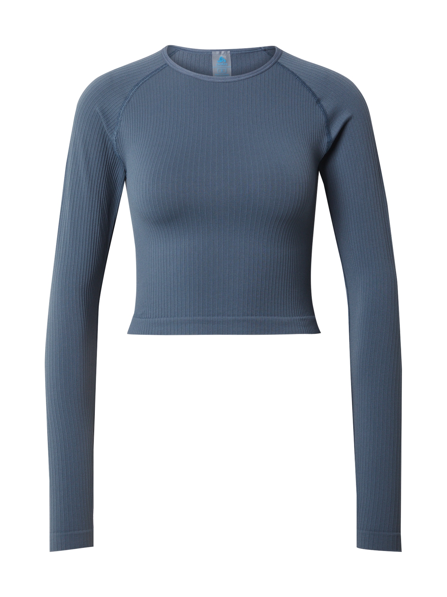 ODLO Sportiniai marškinėliai 'ACTIVE 365' bazalto pilka