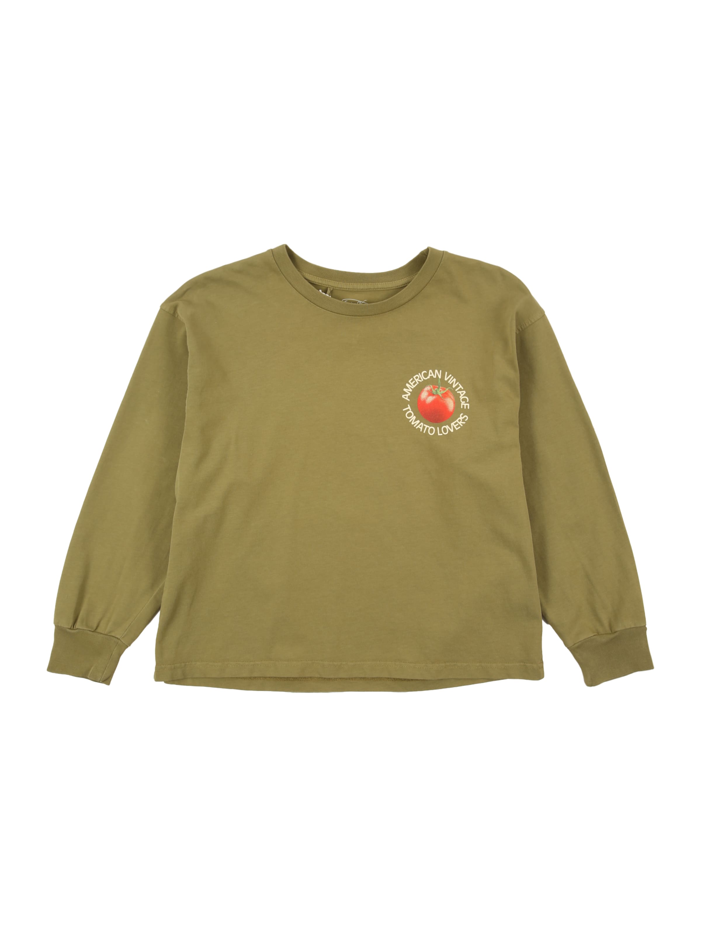 AMERICAN VINTAGE Tricou 'FIZVALLEY' jungen verde 158